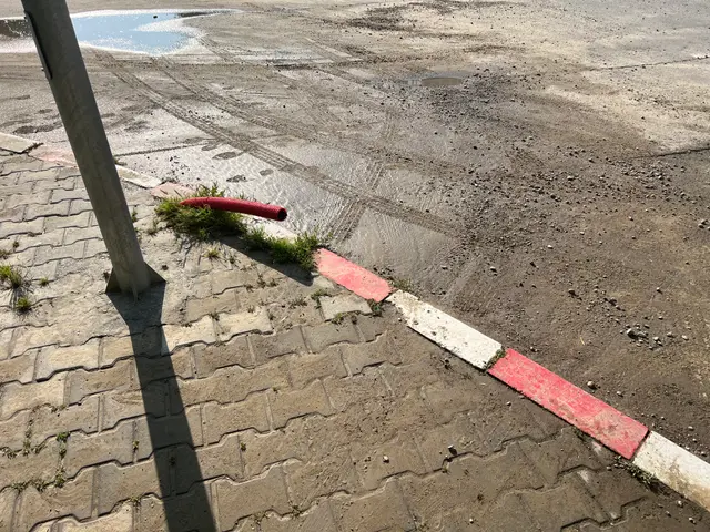 Liniștea de după furtună