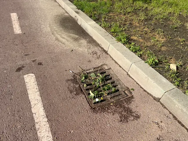 Fușereala la Focșani!